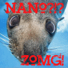 NaNo ZOMG